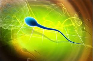 מעלה את הסיכוי להריון ומונעת מחלות גנטיות - בדיקת הלוספרם