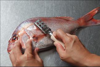 שנהיה לראש ולא לזנב: סכנת זיהום בעת ניקוי והכנת דגים