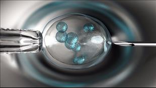 אבחון גנטי טרום השרשה: הכל על הבדיקה שתאפשר לידת תינוק בריא